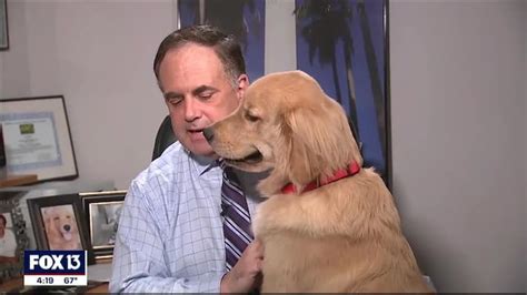 Paul dellegatto twitter - Paul Dellegatto, the chief meteorologist for FOX13 in Tampa, Florida, is constantly interrupted by his golden retriever named Brody at home during COVID-19.